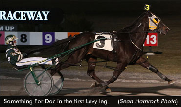 Burke's "Most Improved Horse" Seeks Levy Sweep