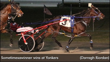 Sagamore Hill To Sometimesawinner