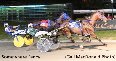 Somewhere Fancy Takes Trial #3 Somewhere Fancy Takes Trial #3