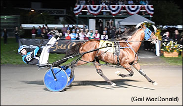 New P.E.I. Stallions For 2022