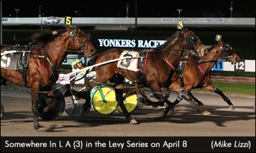 Bartlett, Banca Take Two In Levy