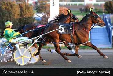 Sophomore Series Conclude At WEG