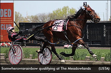 Six Figures For Somwherovrarainbow