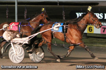 Fast Femmes In Matchmaker Sequel 