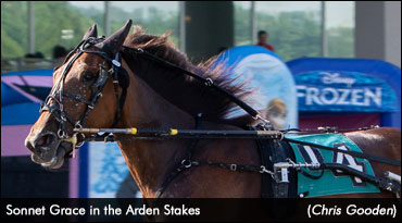 Sonnet Grace Stays Undefeated In Arden