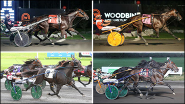 Sophomores To Spar At The Red Mile