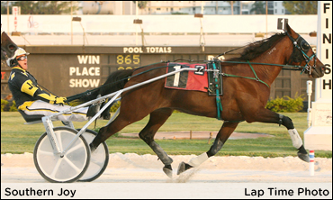 'Southern Joy' For Campagnuolo