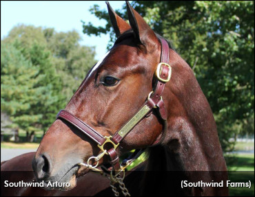 Southwind Arturo Makes History