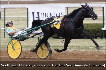 Southwind Chrome Retired, To Stud