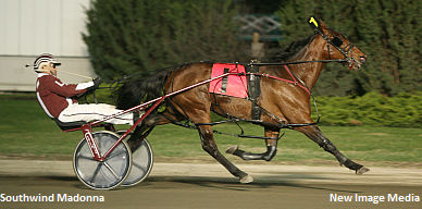 'Madonna' Rebounding From Injury 