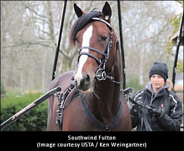 Get To Know Southwind Fulton