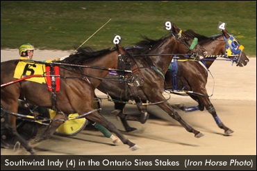 Colts Secure Spots In Semi-Finals