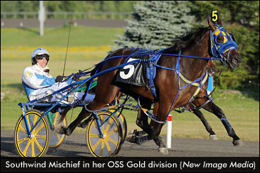 Sportswriter Fillies Grab All The Gold