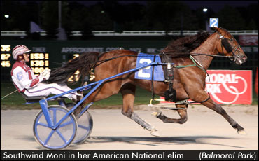 Campbell Sweeps 2YO Am-Nat Trots
