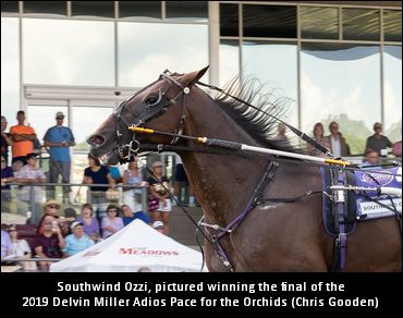 Riding The Wave To The Jug