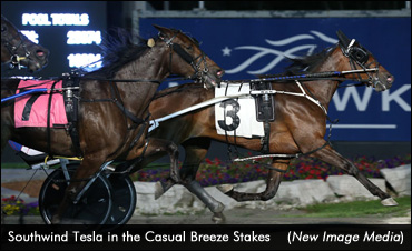 Trotting Fillies Star In Casual Breeze