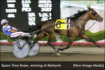 Spare Time Rozie Passes