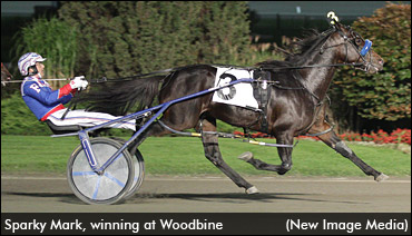 Sparky Mark: Racing's Hottest Horse?