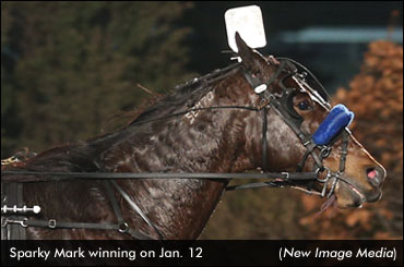 Sparky Mark Wins WEG Open