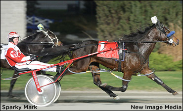 Sparky Mark To Repeat In Autumn Stakes?