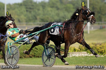 Rookie Colts Impress In Dream Maker