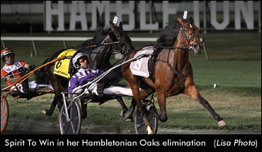 Hambletonian Oaks Field Determined