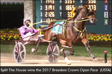 Crawfords' Patience Pays Off