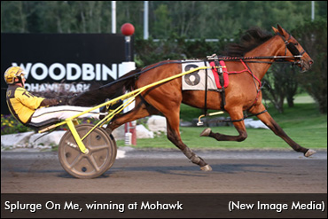 OSS Grad Tops Fall Speed Sale