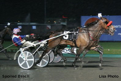 Spoiled Beach Takes Blossom Opener