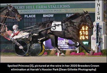 'Princess' Looking For Crown 'Spoils'