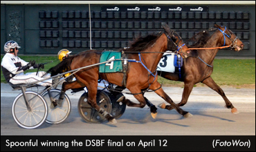 Spoonful Wins Another DSBF Final; Celebrity Pegasus Sets Trot Record