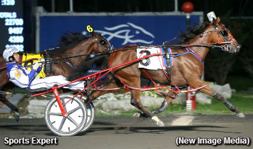 Grassroots Triple For Sports Expert