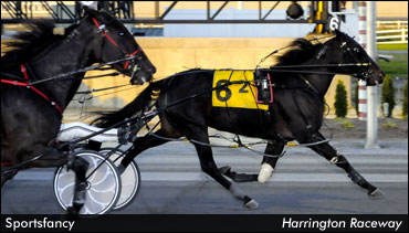 Sportsfancy Retires As Millionaire