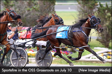 Grassroots Fillies Shine Despite Rain