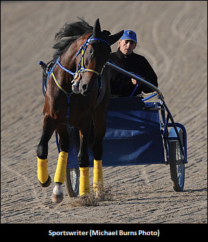 Sportswriter To See Action On Another Mammoth Qualifying Day 