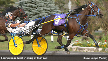 Springbridge Duel, Desperate Man In OSS