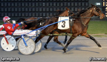 Springforth Wires Dover Distaffers