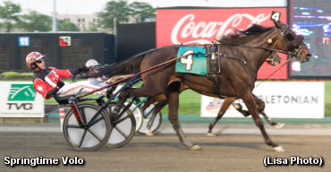 Springtime Volo Rounding Into Form