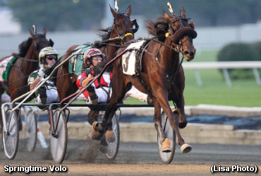 Mom's The Word In Hambo Oaks
