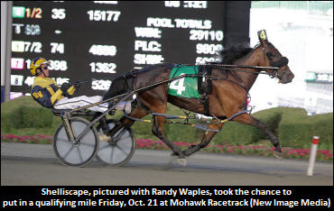 A Breeders Crown Tune Up