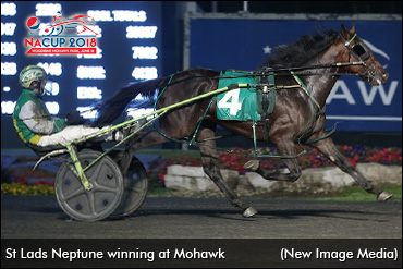 Team Jamieson's N.A. Cup Dark Horse