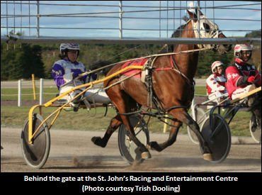 Racing Back On In Newfoundland
