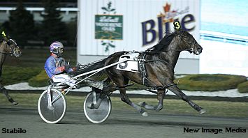 Top AB Mares Bought Back