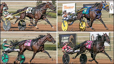 Stars Shine At The Red Mile
