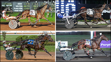 More Stars To Emerge Saturday