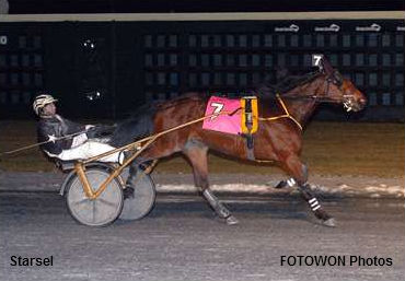 Starsel Trots To Victory At Dover