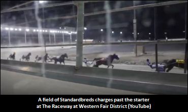 Ins And Outs Of The Starting Gate