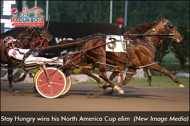 Road To The Meadowlands Pace (Vol. 8)