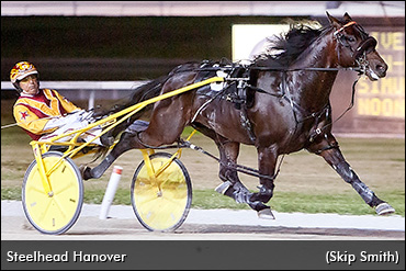 Steelhead Hanover Euthanized