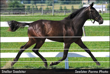 Stellar Seelster Tops FCYS Day 2